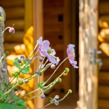 Casa vacanze Eenhoorn *