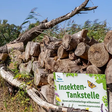 Eenhoorn Casa vacanze Dierhagen